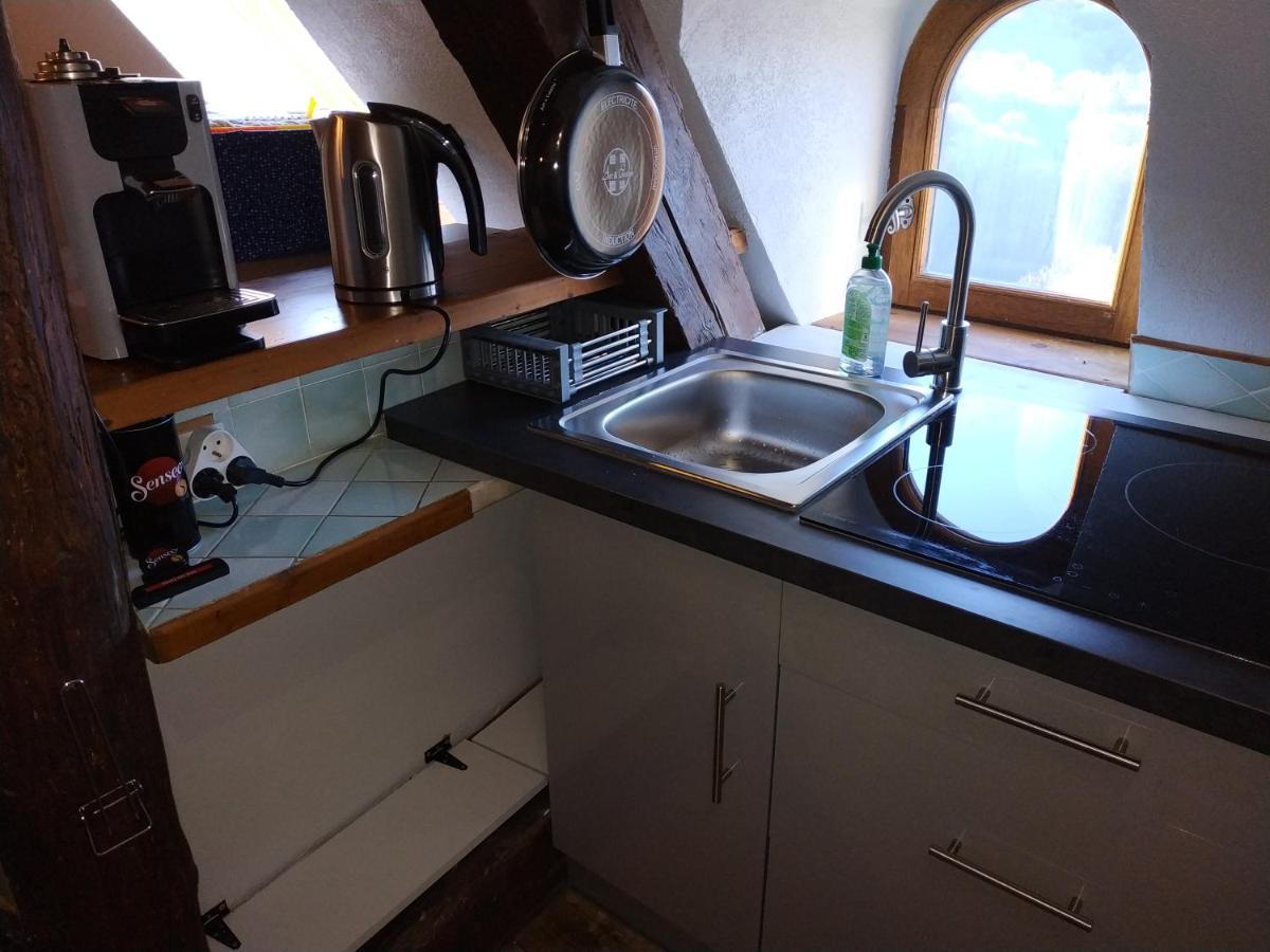 Appartement Chateau Uriage-Chamrousse Saint-Martin-dʼUriage Exterior foto